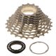 Campagnolo 11-fach | 12-29T | Monoblock | CrMo | silber | EDCO